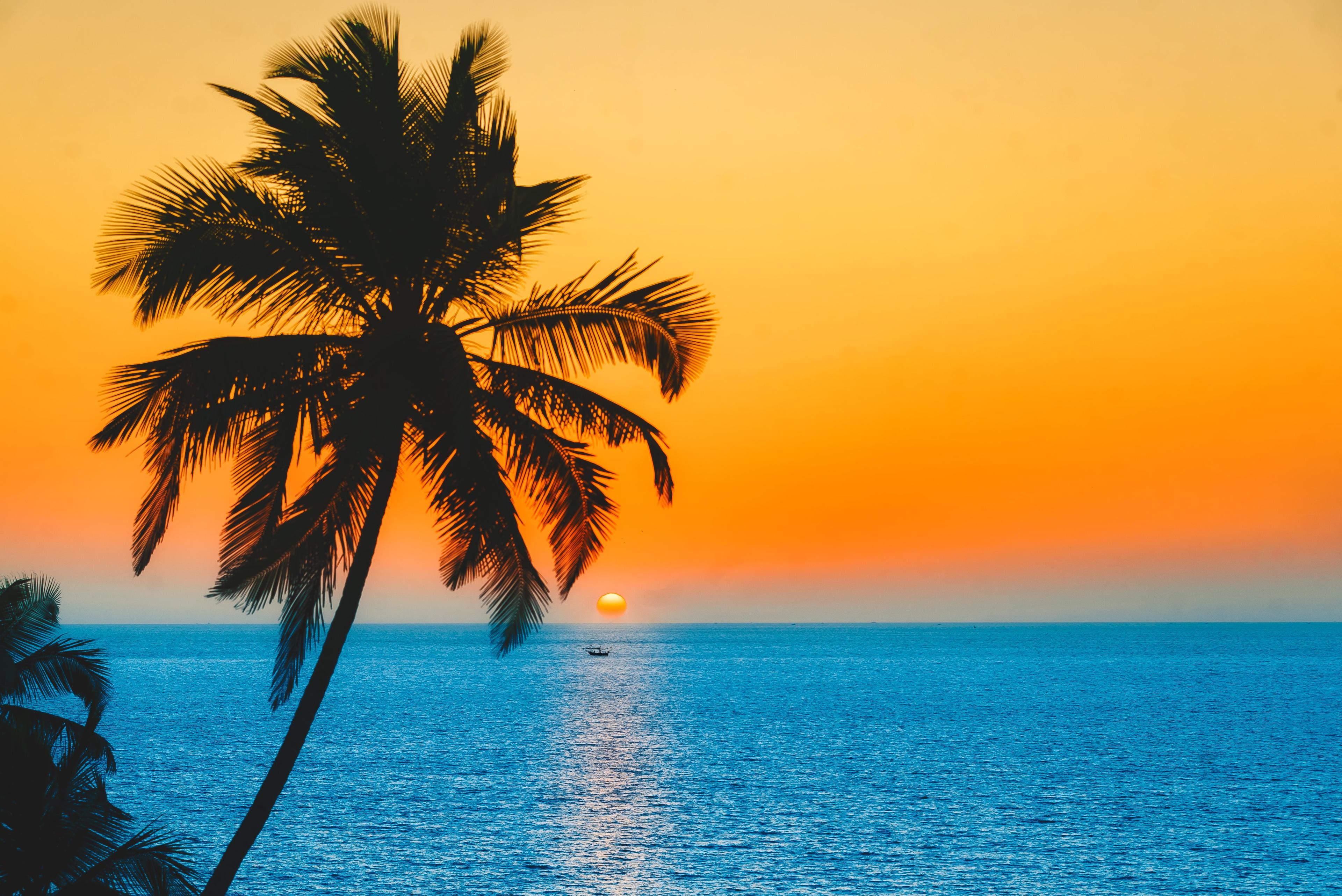 React India Goa Guide